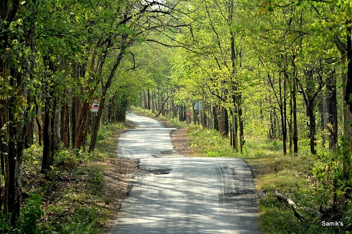 Gondia Office Dismantling Service In Maharashtra